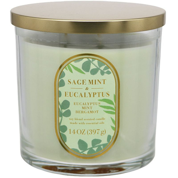 Sonoma Goods For Life Sage Mint & Eucalyptus Scented Jar Candle - Green