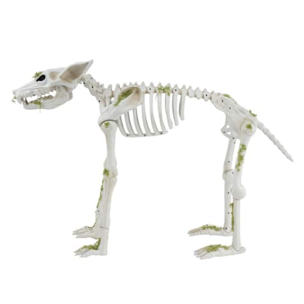 Ashland Animated Wolf Skeleton