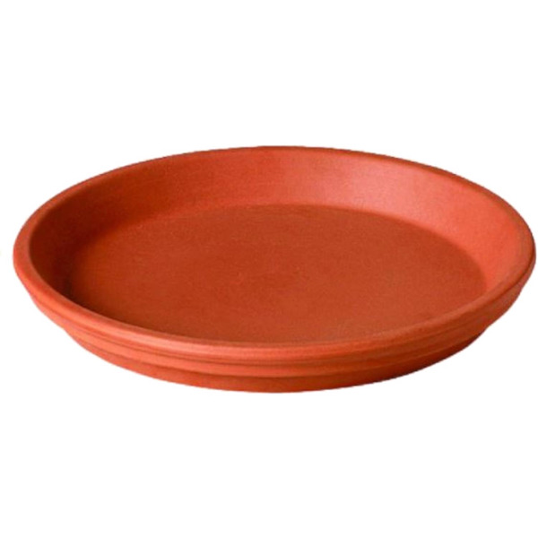 Deroma 5.9" Natural Terra Cotta Clay Saucer