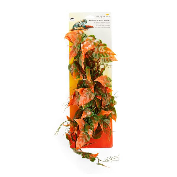 Imagitarium Hanging Plant - Green & Brown - 24"