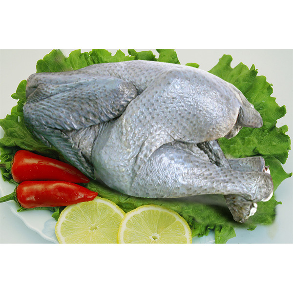 Silky Chicken