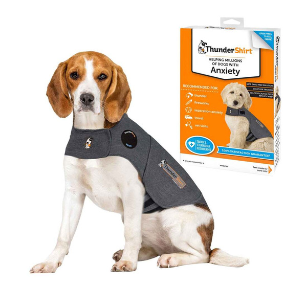 Thunder Shirt The Best Solution for Dog Anxiety Medium Solid Gray Shirt