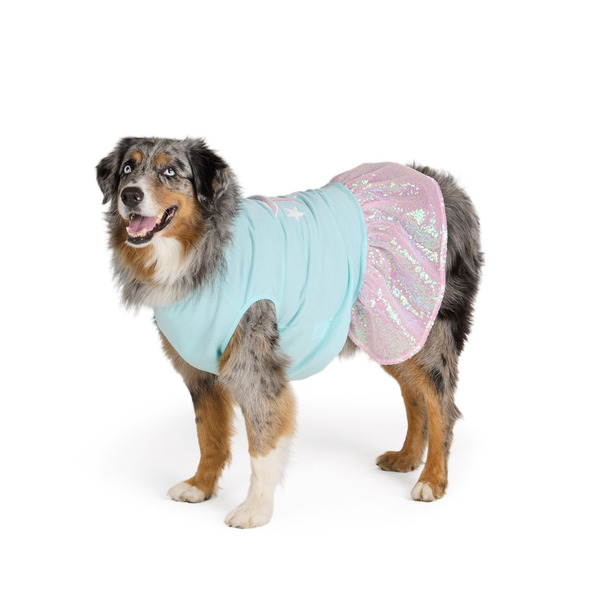 Top Paw Everyday Stars Dog Dress, Medium