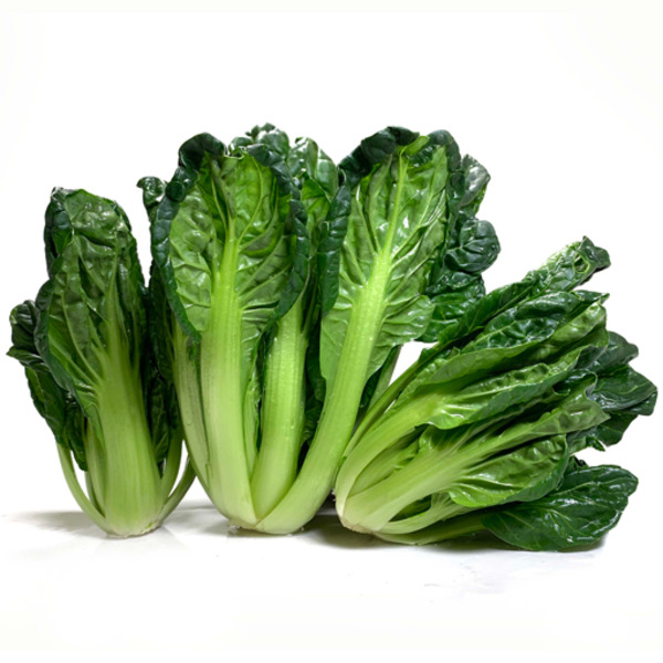 Tagu Choy