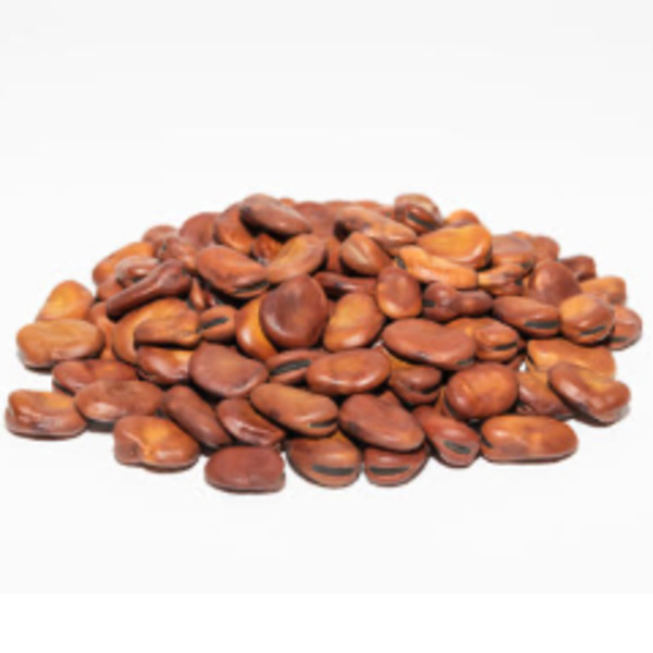 Cardenas Markets Fava Dry Beans