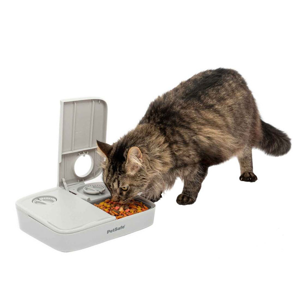 PetSafe Automatic 2 Meal Pet Feeder