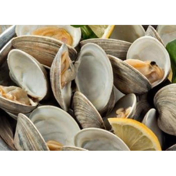 Top Neck Clams - 36 Ct