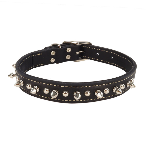 Coastal Pet Black Oak Spiked Collar