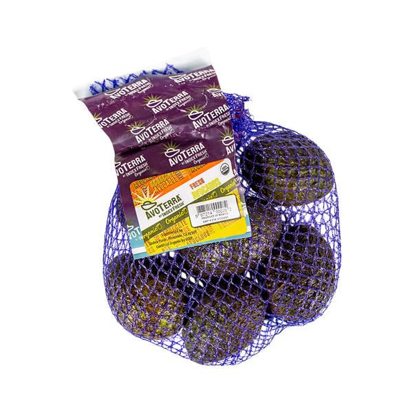 【avocado先生】 Sir Prize Avocado Tree