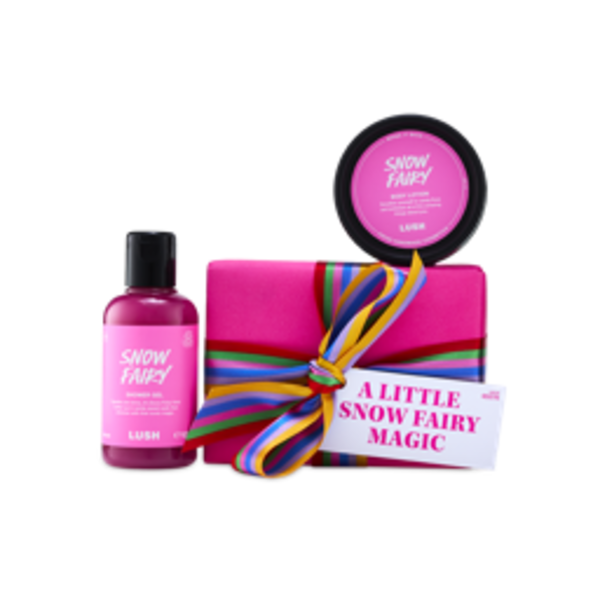 A Little Snow Fairy Magic Gift