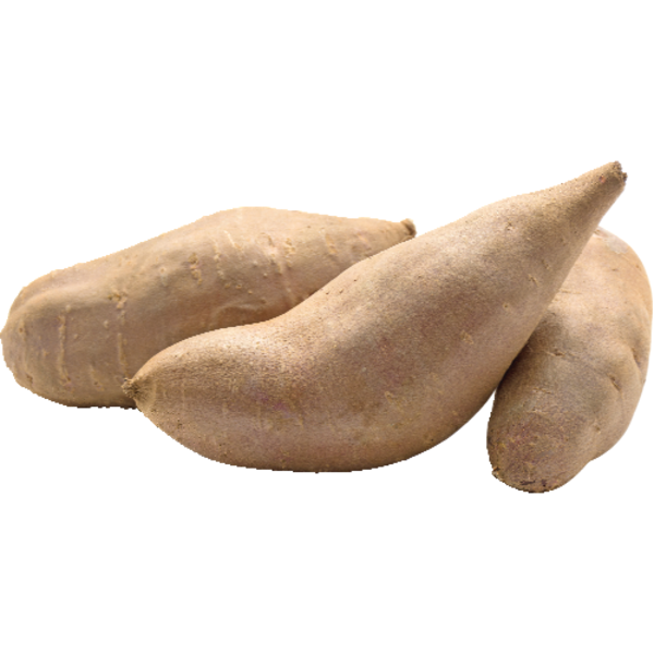 Organic White Sweet Potato