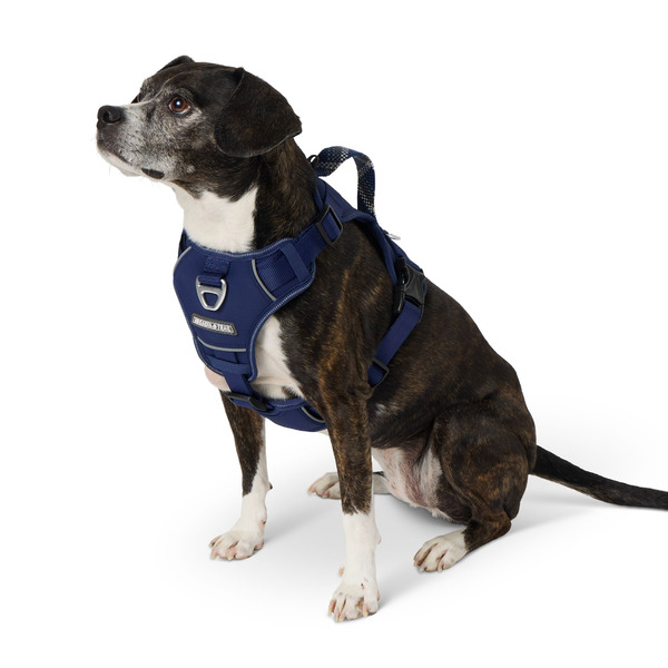 Arcadia Trail Quick Dry Dog Harness, Large