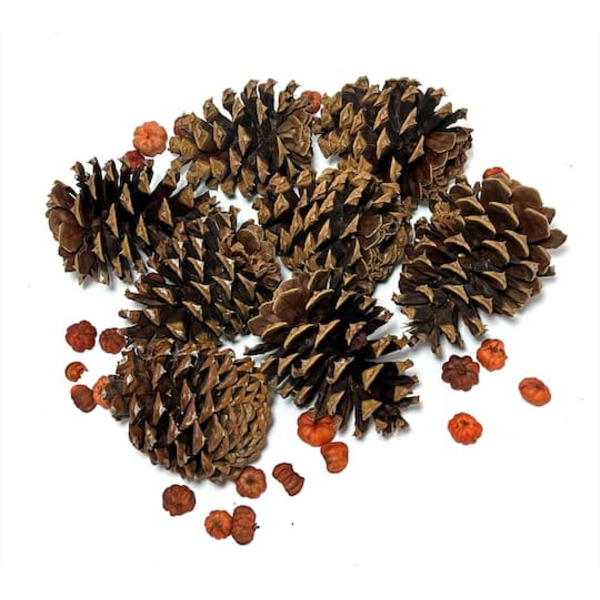 Ashland Pecan Caramel Scented Pinecones