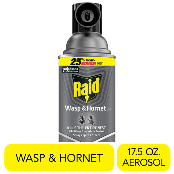 Raid® Wasp & Hornet Killer, Outdoor Flying Insect Spray