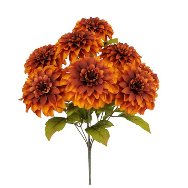 Ashland Zinnia Bush