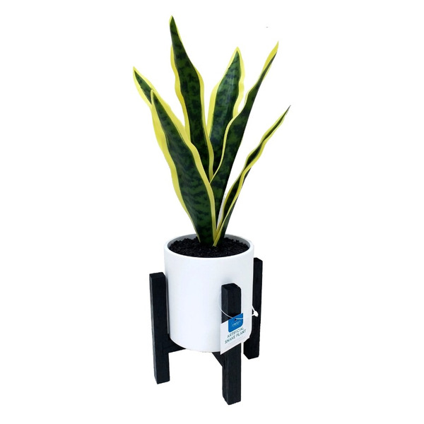 Family Dollar Artificial Snake Plant In Pot With Stand Same-Day Delivery |  Instacart