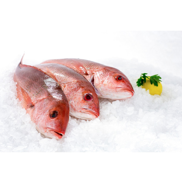 Whole Red Snapper - 2/3 lbs