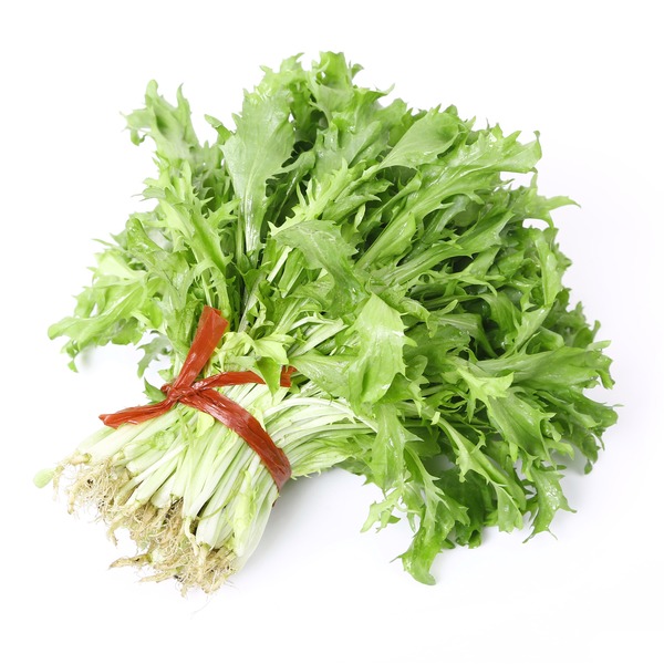 Escarole Lettuce