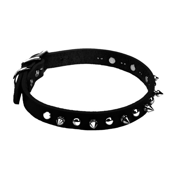 Coastal Pet Circle T Oak Tanned Leather Spiked Dog Collar - 8"