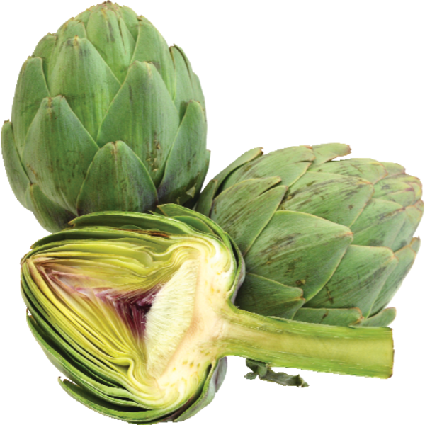 Organic Artichoke