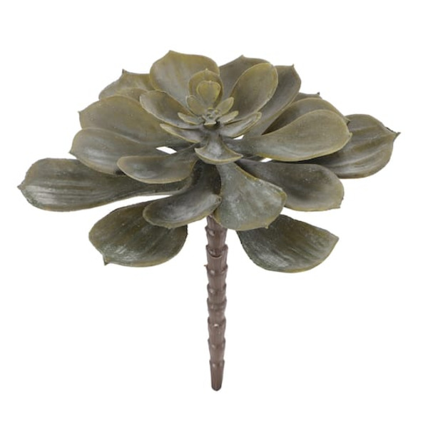 Ashland Dark Green Echeveria Pick