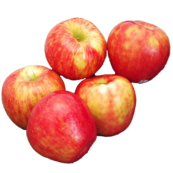 Honeycrisp Apple