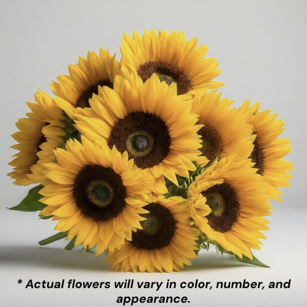 sunflower 2本 Sunny Sunflowers in Syracuse NY - Sam Rao Florist