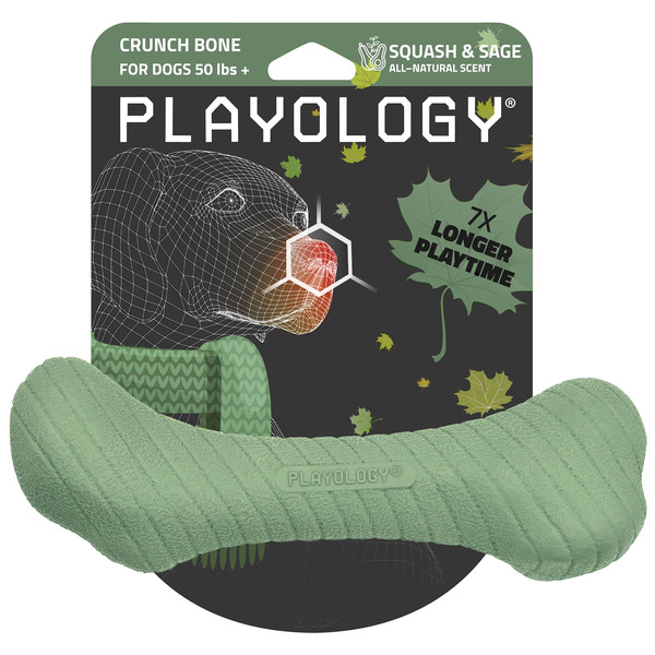 Playology Squash & Sage Scented Crunch Bone Dog Toy, Large - Green