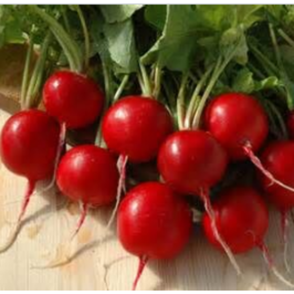 Radish, 25 lbs