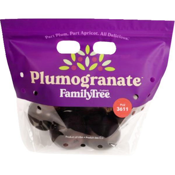 Black Plumogranates Bag