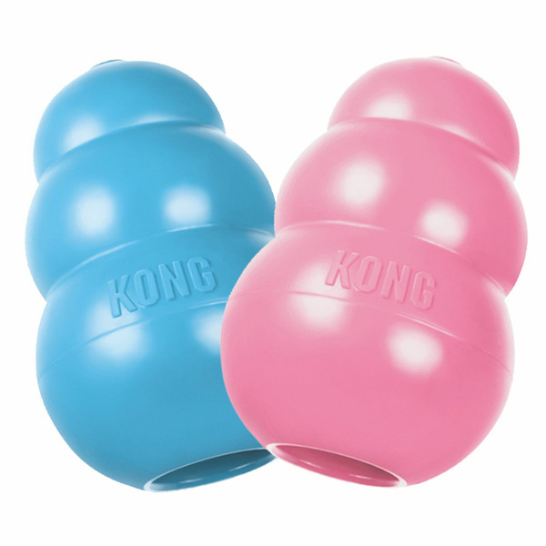 Kong Dog Toy, Chewer, Puppy, Medium