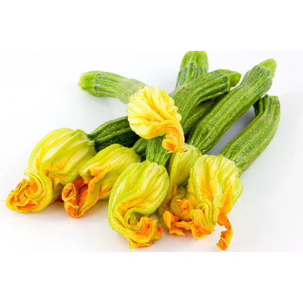 Squash Blossoms