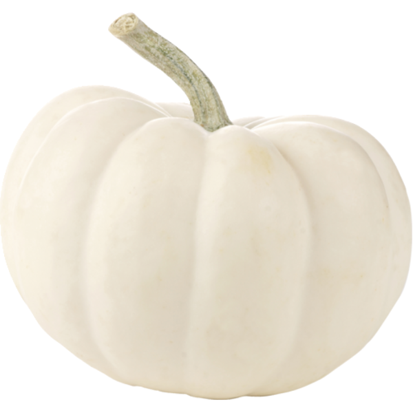 Mini White Pumpkin