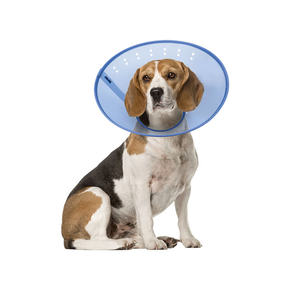 Calm Paws Behavior Support Calming E-Collar - Blue