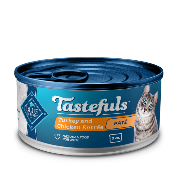auto feeder for wet cat food One RFID Cat Feeder for Multiple Cats main image 1
