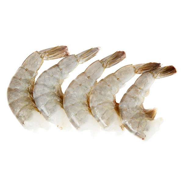 16-20 Shrimp