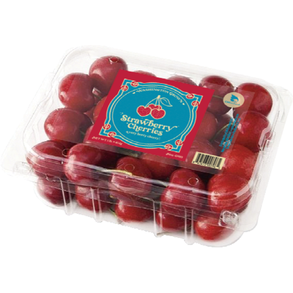 cherry☆　8kg Amazon.com : Zotz Fizzy Old Fashioned Hard Candy Fruit