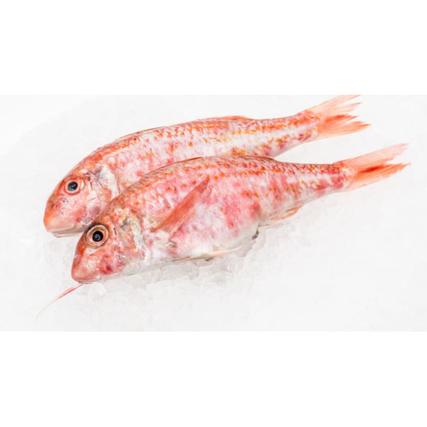 Fresh Red Mullet, wild caught