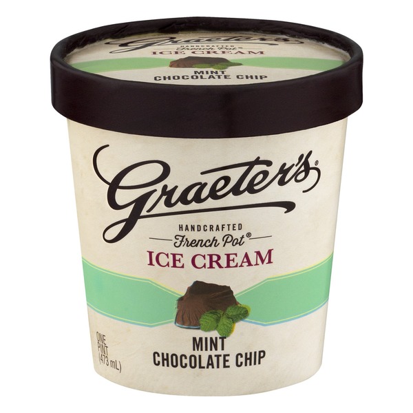 Mint Chocolate Chip Ice Cream Mint Chocolate Chip Ice Cream