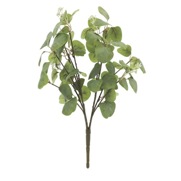 Ashland Green Eucalyptus Bush