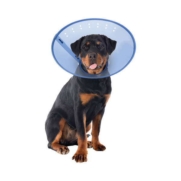 Calm Paws Behavior Support Calming E-Collar - Blue