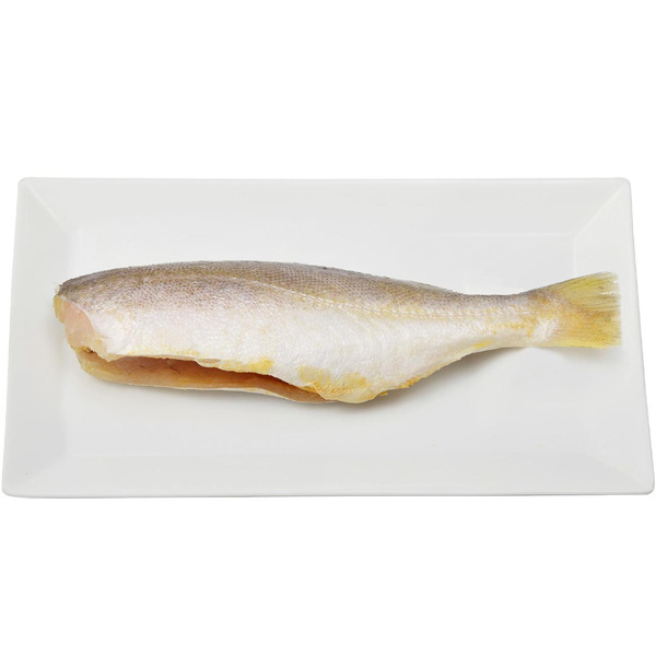 King Weakfish