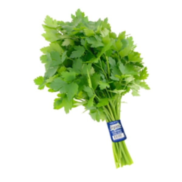 Italian Parsley - 24 Ct