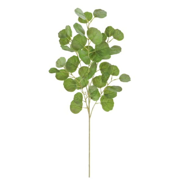 Ashland Oval Eucalyptus Real Touch Stem
