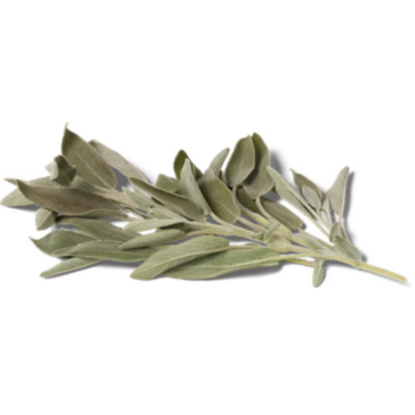 Sage Bunch