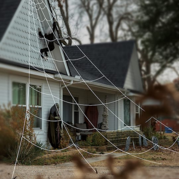 Ashland Mega Yard Web, 23 x 19 ft