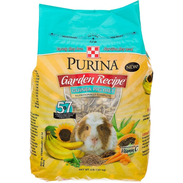 purina guinea pig food