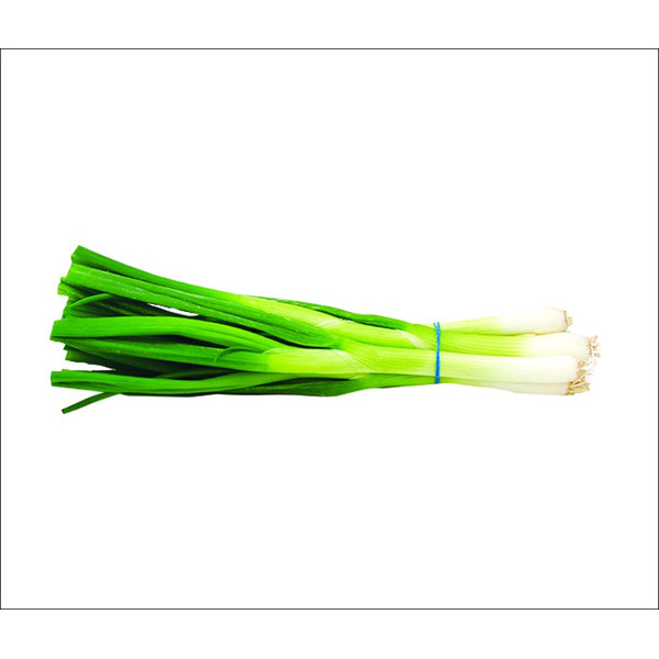 Green Scallion