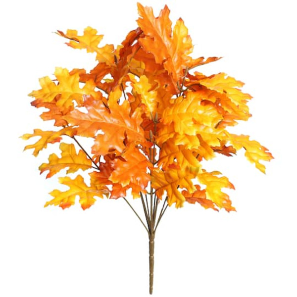 Ashland Oak Leaf Bush
