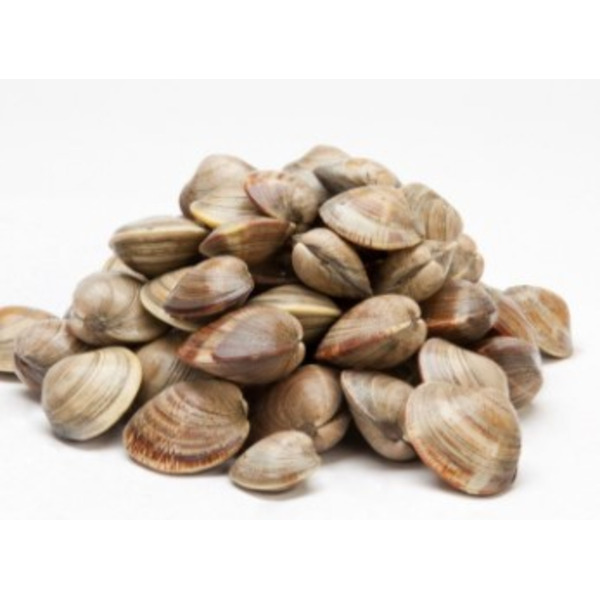 Middleneck Clams, 25 Ct